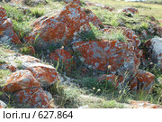 Красные камни. Стоковое фото, фотограф Игнатьев Михаил / Фотобанк Лори