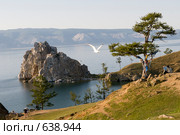 Чайка над мысом Бурхан. Стоковое фото, фотограф Игнатьев Михаил / Фотобанк Лори