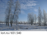 Зимний полдень в берёзовой роще. Стоковое фото, фотограф Александр Шилин / Фотобанк Лори