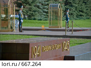 Могила неизвестного солдата, Александровский сад, Москва (2008 год). Редакционное фото, фотограф Pukhov K / Фотобанк Лори
