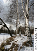 Предвесенье. Стоковое фото, фотограф Александр Цымбалов / Фотобанк Лори