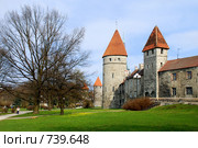 Таллин, Старый город (2008 год). Стоковое фото, фотограф Криволап Ольга / Фотобанк Лори