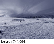 Зимний пейзаж. Тонированное изображение. Стоковое фото, фотограф Beerkoff / Фотобанк Лори