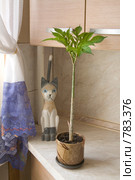 Аморфофаллос - змеиное дерево и фигурка кота на кухонном столе (2009 год). Редакционное фото, фотограф Алла Матвейчик / Фотобанк Лори