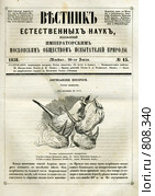 Африканские носороги. Стоковая иллюстрация, иллюстратор Яков Филимонов / Фотобанк Лори