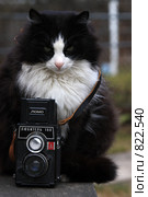 Кот фотолюбитель (2009 год). Редакционное фото, фотограф Яна Королёва / Фотобанк Лори