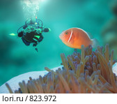 Дайвер. Стоковое фото, фотограф Ольга Хорошунова / Фотобанк Лори