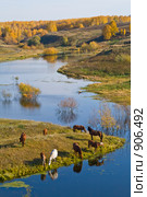 Пейзаж. Стоковое фото, фотограф ВЛАДИМИР КУДРИНСКИЙ / Фотобанк Лори