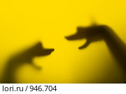 Тени от рук изображают двух собак. Стоковое фото, фотограф AlphaBravo / Фотобанк Лори