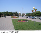 Озеленение г.Новочеркасска. Платовский проспект (2009 год). Стоковое фото, фотограф Тарасова Татьяна / Фотобанк Лори
