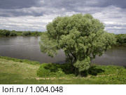 Излучина Оки, затишье перед грозой. Стоковое фото, фотограф Евгений Амбросимов / Фотобанк Лори