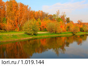 Осень в парке. Стоковое фото, фотограф Losevsky Pavel / Фотобанк Лори