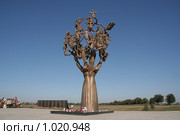 Беслан, Древо скорби (2007 год). Редакционное фото, фотограф Владимир Трифонов / Фотобанк Лори
