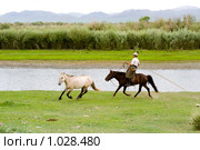 Монгольский скотовод ловит лошадь арканом (2009 год). Редакционное фото, фотограф Александр Подшивалов / Фотобанк Лори