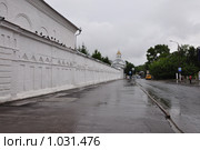 Кострома.Стена Богоявленского Анастасиинского монастыря (2008 год). Редакционное фото, фотограф Лада Иванова / Фотобанк Лори
