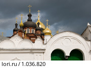 Кострома. Богоявленско-Анастасиин женский монастырь. (2009 год). Стоковое фото, фотограф Румянцева Наталия / Фотобанк Лори
