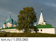 Суздальский кремль. Собор Рождества Богородицы (XIII-ХIXвв.) и соборная колокольня (1635г.) (2007 год). Редакционное фото, фотограф Михаил Ворожцов / Фотобанк Лори