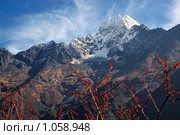 Гималаи (2008 год). Стоковое фото, фотограф Туркин Владимир / Фотобанк Лори