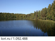 Лесное озеро. пляж (2009 год). Редакционное фото, фотограф Устинов Дмитрий Николаевич / Фотобанк Лори