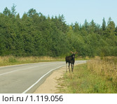 Встреча на трассе. Стоковое фото, фотограф Вячеслав Потапов / Фотобанк Лори