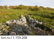Соловецкие острова. Большой Заяцкий остров. Лабиринт. (2009 год). Редакционное фото, фотограф Михаил Ворожцов / Фотобанк Лори