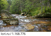 Таежная река с теплой водой. Курилы, остров Кунашир (2009 год). Редакционное фото, фотограф RedTC / Фотобанк Лори