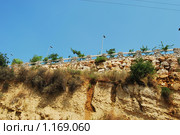 Бейрут, декоративная каменная ограда (2009 год). Стоковое фото, фотограф Тимерьян Ильясов / Фотобанк Лори