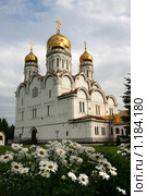 Тольятти. Собор Спаса Преображения (Спасо-Преображенский) (2009 год). Стоковое фото, фотограф Целоусов Дмитрий Геннадьевич / Фотобанк Лори