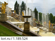 Петергоф. Фонтанный ансамбль "Большой каскад" в нижнем парке (2009 год). Редакционное фото, фотограф Александр Лядов / Фотобанк Лори