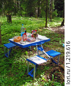 Пикник в лесу (2009 год). Редакционное фото, фотограф lana1501 / Фотобанк Лори