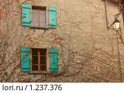 Плющ на стене. Ивуар, Верхний Савой, Франция (2009 год). Стоковое фото, фотограф Владимир Трифонов / Фотобанк Лори