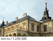 Замок, село Подгорцы, Львовская область, Украина. Стоковое фото, фотограф Юрий Брыкайло / Фотобанк Лори
