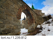 Подгорецкий замок. Село Подгорцы, Львовская область, Украина (2009 год). Стоковое фото, фотограф Юрий Брыкайло / Фотобанк Лори