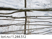 Забор. Стоковое фото, фотограф Parmenov Pavel / Фотобанк Лори