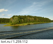 Один из островов на озера Селигер (2009 год). Редакционное фото, фотограф Самойлова Екатерина / Фотобанк Лори