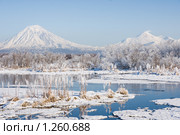 Зимний пейзаж с вулканами  Авачинский и Корякский. Камчатка. Стоковое фото, фотограф Ирина Игумнова / Фотобанк Лори