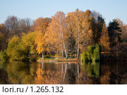 Зеркало осени. Стоковое фото, фотограф Роман Мухин / Фотобанк Лори