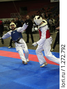 Фрагмент боя на Олимпиаде боевых искусств  Martial Arts Olympic-2009. Редакционное фото, фотограф Владимир Борисов / Фотобанк Лори