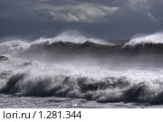 Россия. Сочи. Черное море. Шторм. Огромные волна с веером из водяной пыли  обрушивается на берег. Стоковое фото, фотограф Дмитрий Заморин / Фотобанк Лори