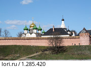 Спасо-Евфимиев монастырь в Суздале (2009 год). Редакционное фото, фотограф Ирина Золина / Фотобанк Лори