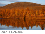 Осенний пейзаж. Якутия. Стоковое фото, фотограф Анна Зеленская / Фотобанк Лори