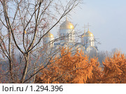 Успенский собор.Владимир (2009 год). Редакционное фото, фотограф Святослав Корнев / Фотобанк Лори
