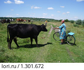 Доярка с коровой черной масти (2007 год). Редакционное фото, фотограф Галина  Горбунова / Фотобанк Лори