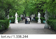В летнем саду (2009 год). Редакционное фото, фотограф Владислав Иванцов / Фотобанк Лори