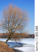 Весна на озере. Стоковое фото, фотограф Владимир Блинов / Фотобанк Лори