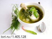 Зеленые щи с курицей. Стоковое фото, фотограф Татьяна Емшанова / Фотобанк Лори