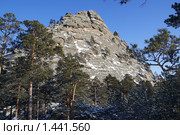 Вид на склон горы "Слоник" (2010 год). Стоковое фото, фотограф Татьяна Добровольская / Фотобанк Лори