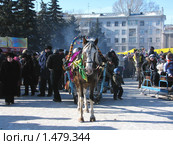 Масленица. Катание на лошадях (2010 год). Редакционное фото, фотограф Светлана Кириллова / Фотобанк Лори