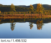 Зеркальное отражение. Стоковое фото, фотограф Сень Василий / Фотобанк Лори