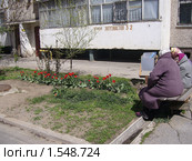 Весна - дожили. Стоковое фото, фотограф Архипов Сергей Александрович / Фотобанк Лори